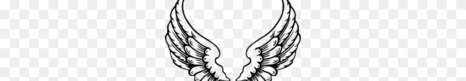 Angel Wings, Gray Png