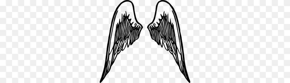 Angel Wings, Face, Head, Mustache, Person Png