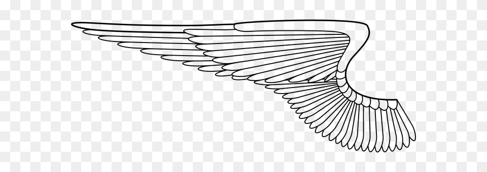 Angel Wings Gray Png