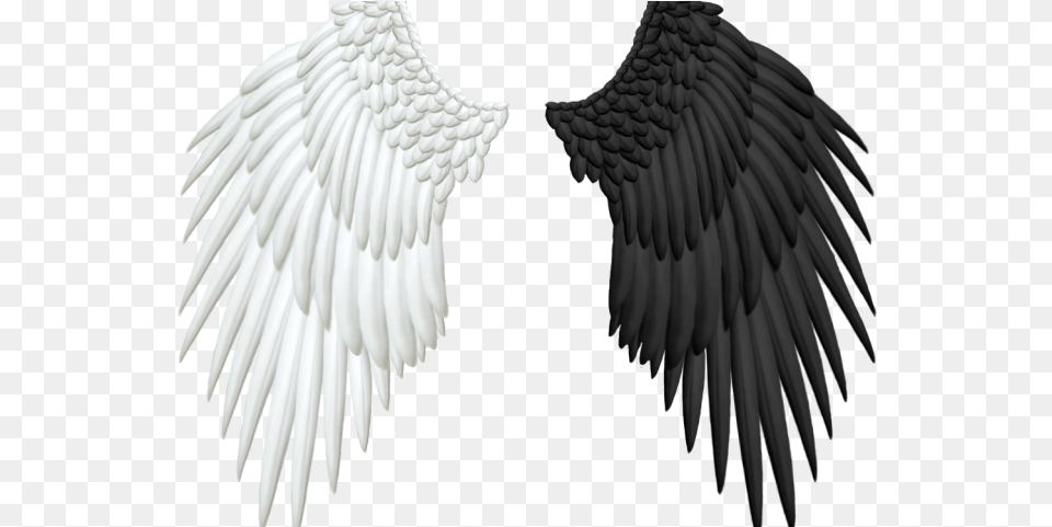 Angel Wings 6 Bird For Picsart, Animal, Vulture, Eagle, Flying Free Png