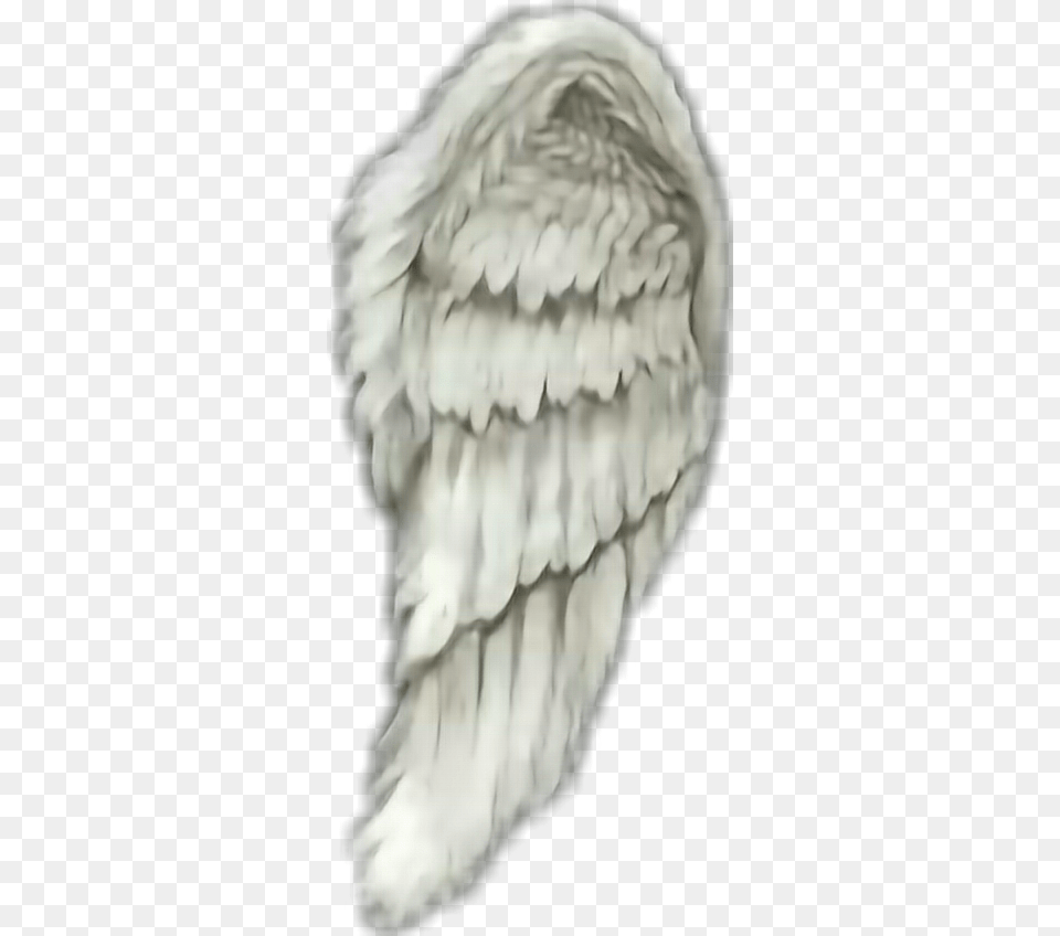 Angel Wings, Person Free Png