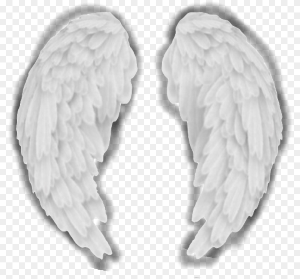 Angel Wings Aesthetic White Complex Edit Complexedit Pigeons And Doves, Animal, Bird Free Transparent Png