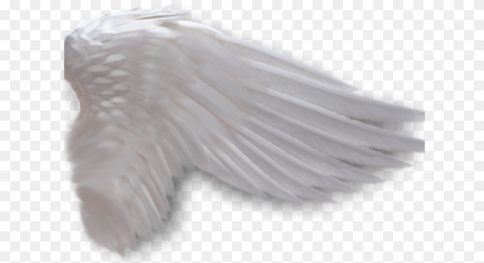 Angel Wings Anime Side View Download Side View Angel Wing Background, Animal, Bird, Pigeon Free Transparent Png
