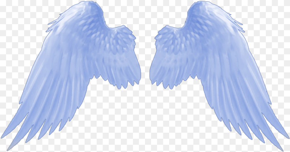 Angel Wings Blue Bluewings Angelwings Angel Wings Gif Transparent, Animal, Bird, Vulture, Flying Free Png