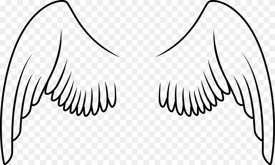 Angel Wings Clipart, Animal, Beak, Bird Png