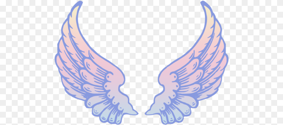 Angel Wings Clipart, Accessories, Animal, Bird Free Transparent Png
