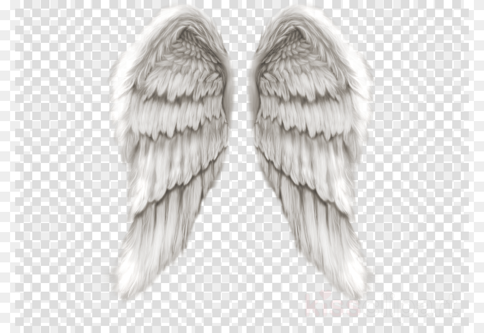 Angel Wings Clipart Clip Art Angel Wings For Editing, Animal, Bird, Vulture Free Png Download