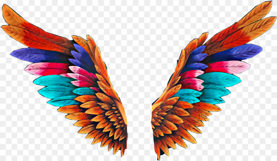 Angel Wings Colorful, Pattern, Accessories, Plant, Art Free Transparent Png