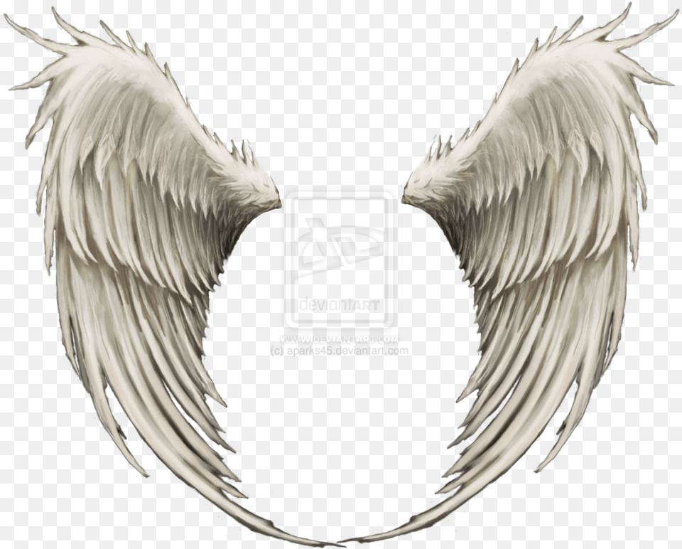 Angel Wings Dark Angel, Animal, Bird, Vulture Free Png