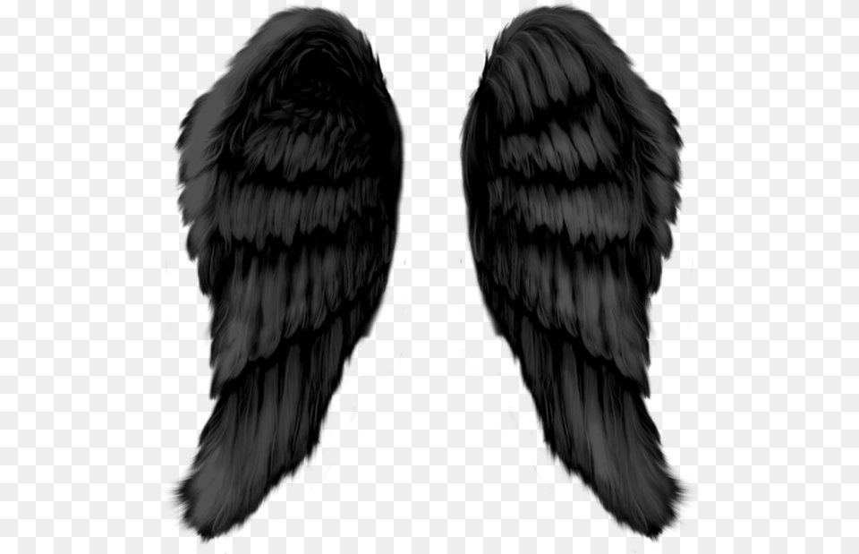 Angel Wings Monochrome, Animal, Bird, Vulture Free Png Download