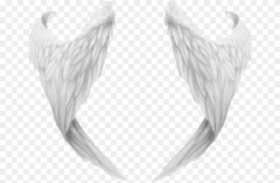 Angel Wings File, Accessories, Animal, Bird, Person Png Image
