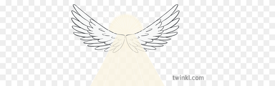 Angel Wings Light Shine Religion Ks1 Illustration Twinkl Eagle, Blade, Dagger, Knife, Weapon Free Transparent Png