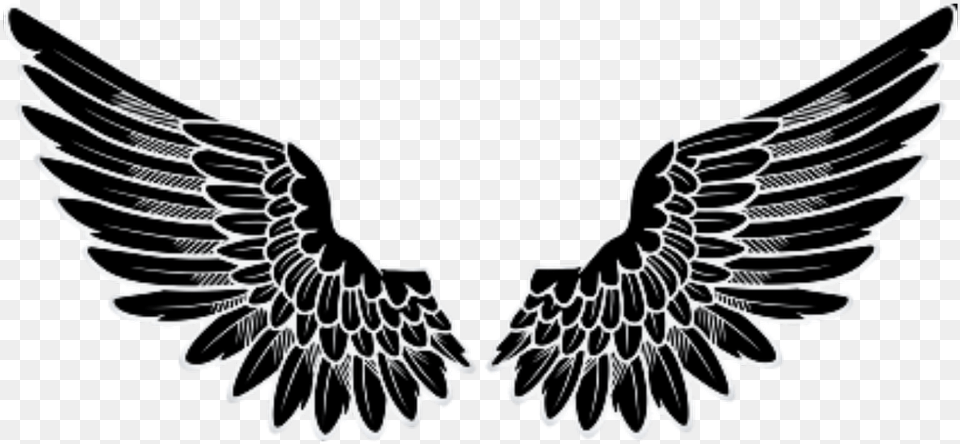 Angel Wings Logo, Emblem, Symbol, Stencil, Animal Png