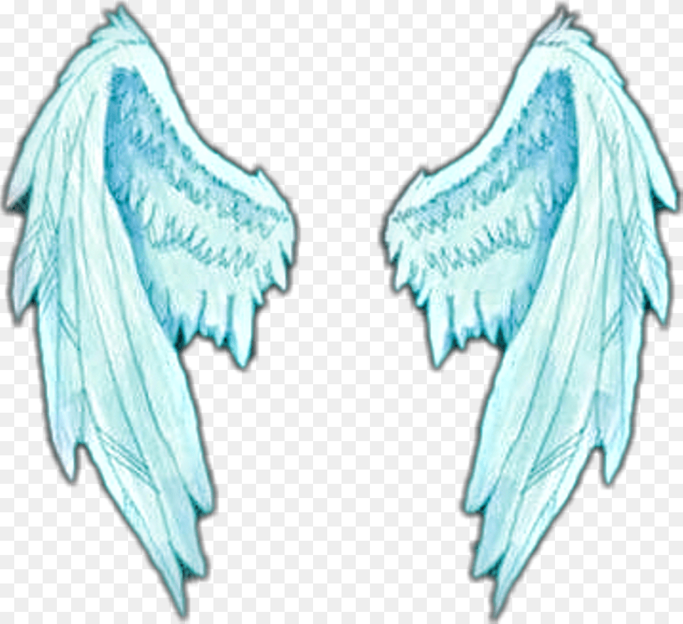 Angel Wings Overlays Angel Wings Overlay, Ice, Nature, Weather, Plant Free Transparent Png
