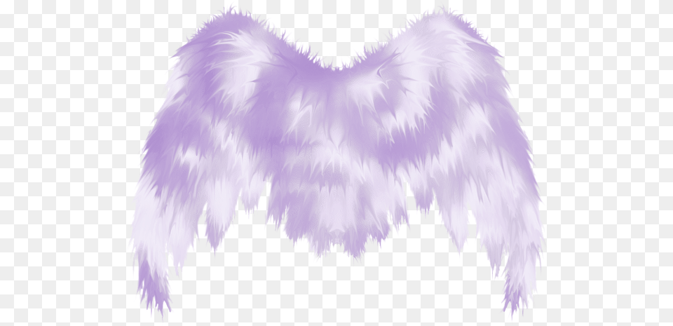 Angel Wings Pink, Accessories, Purple, Feather Boa Free Transparent Png