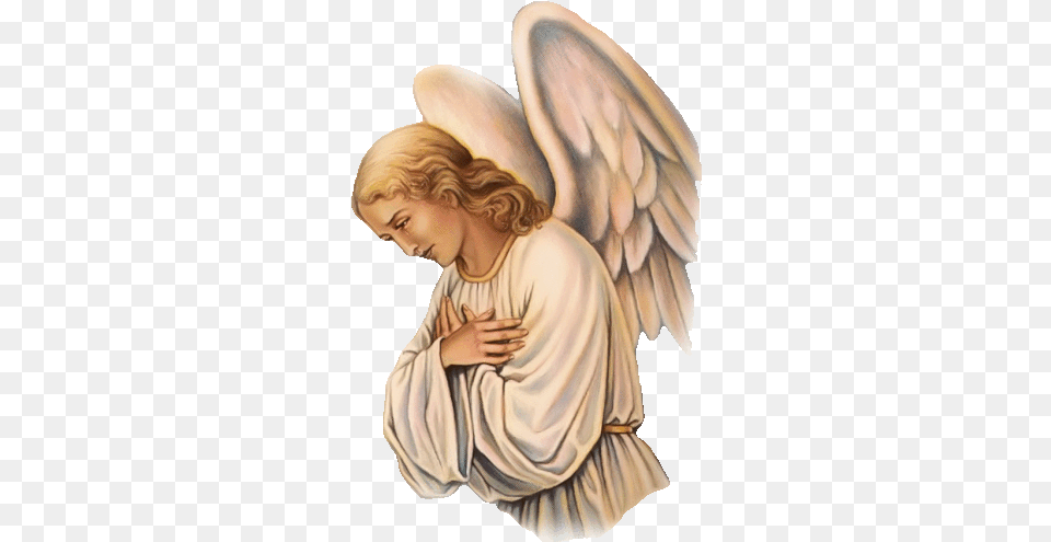 Angel Wings Sticker Angel Wings Holy Discover U0026 Share Gifs Angel, Adult, Female, Person, Woman Free Transparent Png