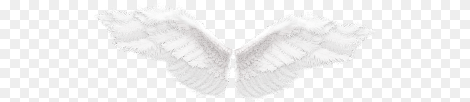 Angel Wings Tumblr For Kids Angel Wings, Accessories Free Png