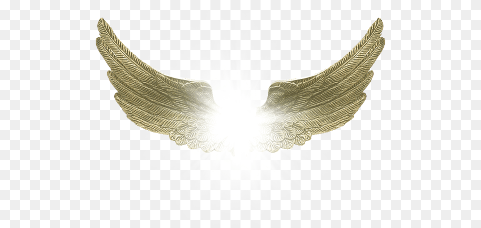 Angel Wings Victoria Secrets Wings, Accessories, Animal, Bird Free Transparent Png