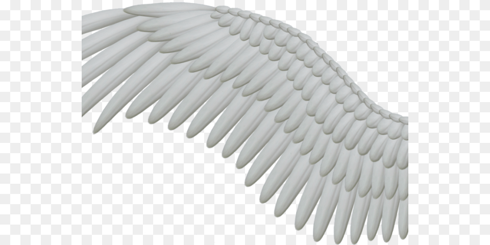 Angel Wings Wings, Animal, Bird, Vulture, Eagle Png