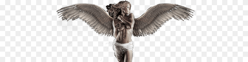 Angel Woman Sexyangel Freetoedit Rose Gold Plated 925k Sterling Silver Angel Mom Baby, Animal, Bird, Person Png Image