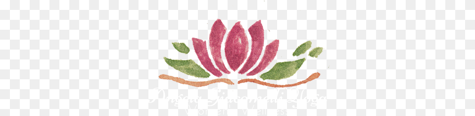 Angela Giacomelli Yoga Watercolor Painting, Plant, Petal, Leaf, Herbs Free Transparent Png