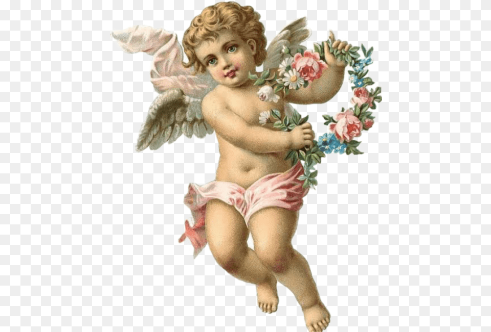 Angelcupidangelcore Starie Kartini S Angelami, Angel, Baby, Person, Cupid Free Transparent Png