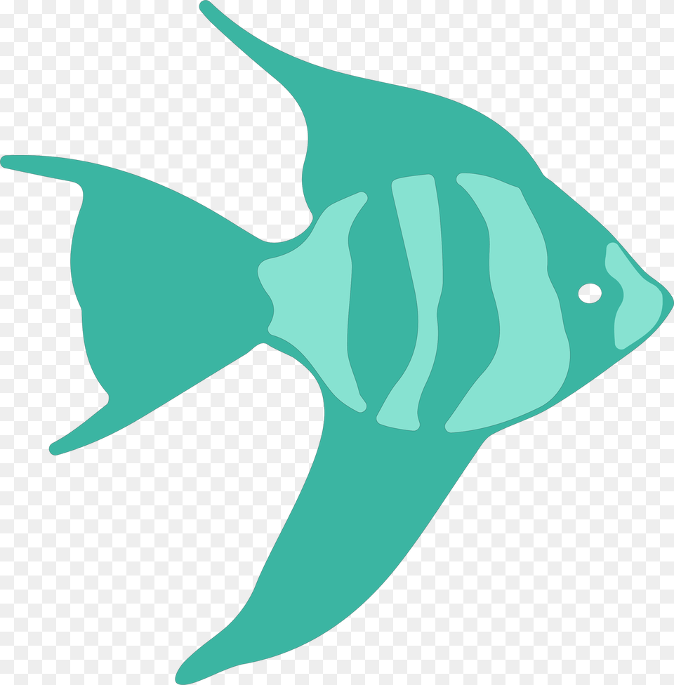 Angelfish, Animal, Fish, Sea Life, Shark Free Png