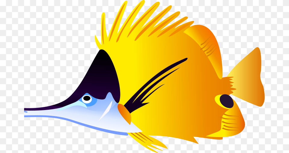 Angelfish Maroon Clownfish Clip Art, Animal, Sea Life, Fish, Bird Free Png Download