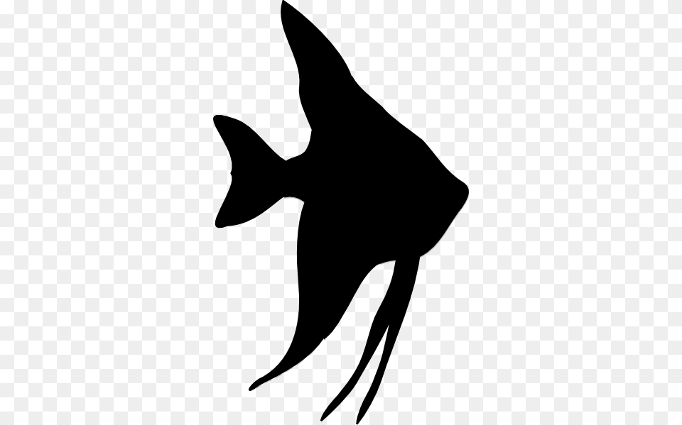 Angelfish Silhouette Hi Stencils, Animal, Fish, Sea Life, Shark Free Transparent Png