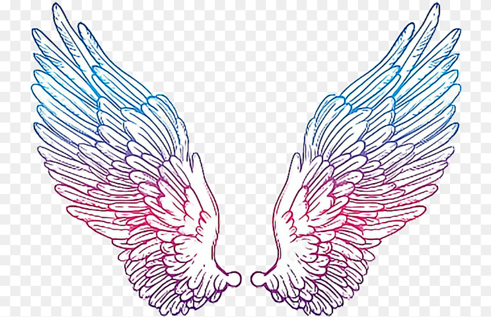 Angelwings Drawing Colorful Hour Glass With Wings, Angel, Animal, Bird Png