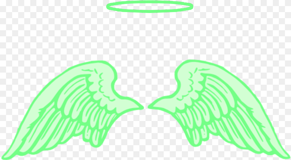 Angelwings Wing Freetoedit Green Angelwing Wings Angels Wings Clipart, Animal, Beak, Bird, Angel Free Png