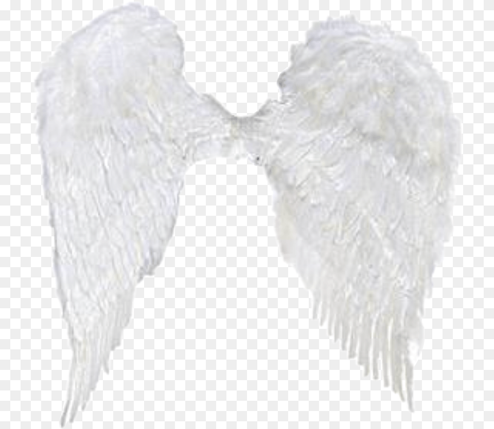 Angelwings Wings Angel Aesthetic Sticker Freetoedit Angel, Accessories, Tie, Formal Wear, Winter Free Png