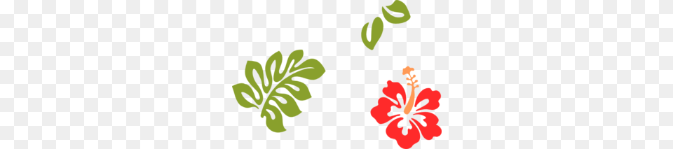 Angiedoula Clip Art, Flower, Hibiscus, Plant, Person Free Png