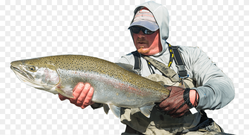 Angler Coastal Cutthroat Trout, Animal, Fish, Sea Life, Accessories Png Image