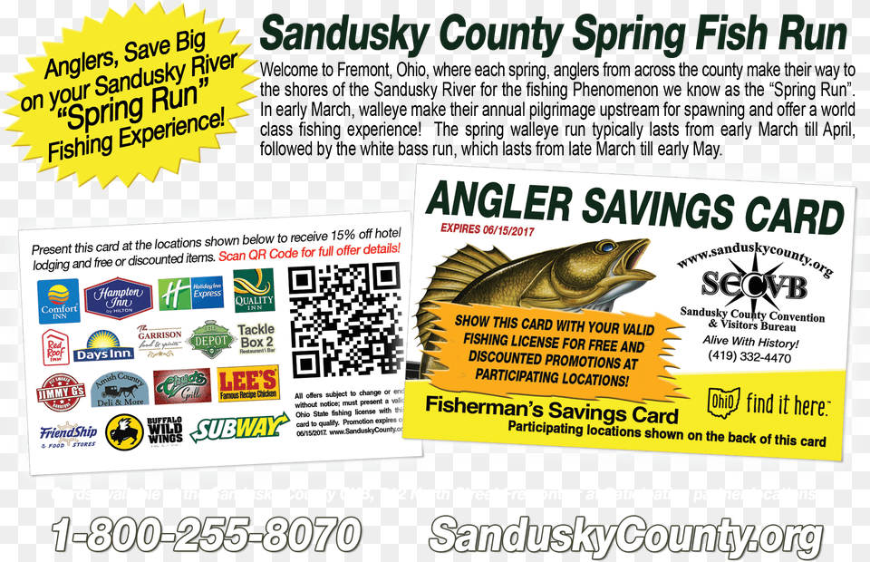 Angler Fish Sccvb Spring Run Promo Ilir Bajri Beyond, Advertisement, Qr Code, Animal, Sea Life Free Png