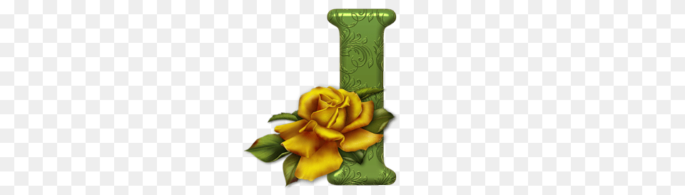 Anglijskij Alphabets, Flower, Plant, Rose, Green Free Transparent Png