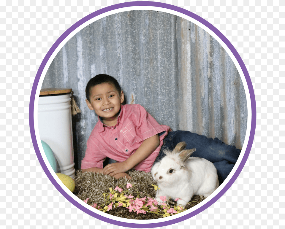 Angora Rabbit, Photography, Animal, Child, Female Free Transparent Png