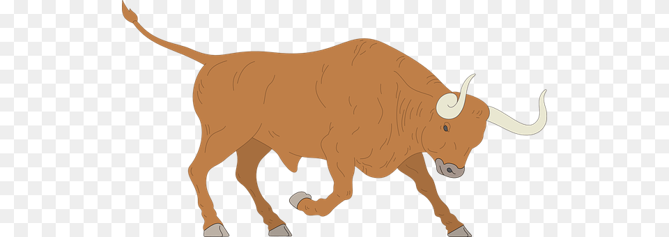 Angry Animal, Ox, Bull, Cattle Png