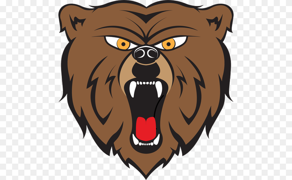 Angry Bear, Animal, Mammal, Lion, Wildlife Free Png Download