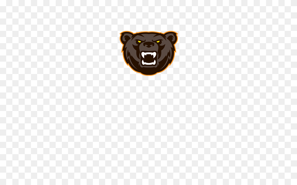 Angry Bear Head Mascot Masai Lion, Animal, Mammal, Wildlife Png Image