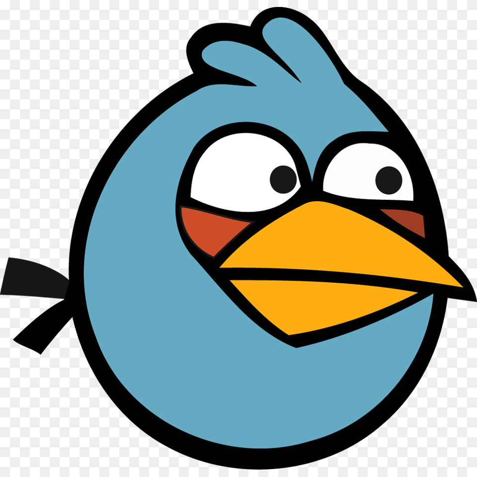 Angry Bird Blue, Animal, Beak, Jay Png Image