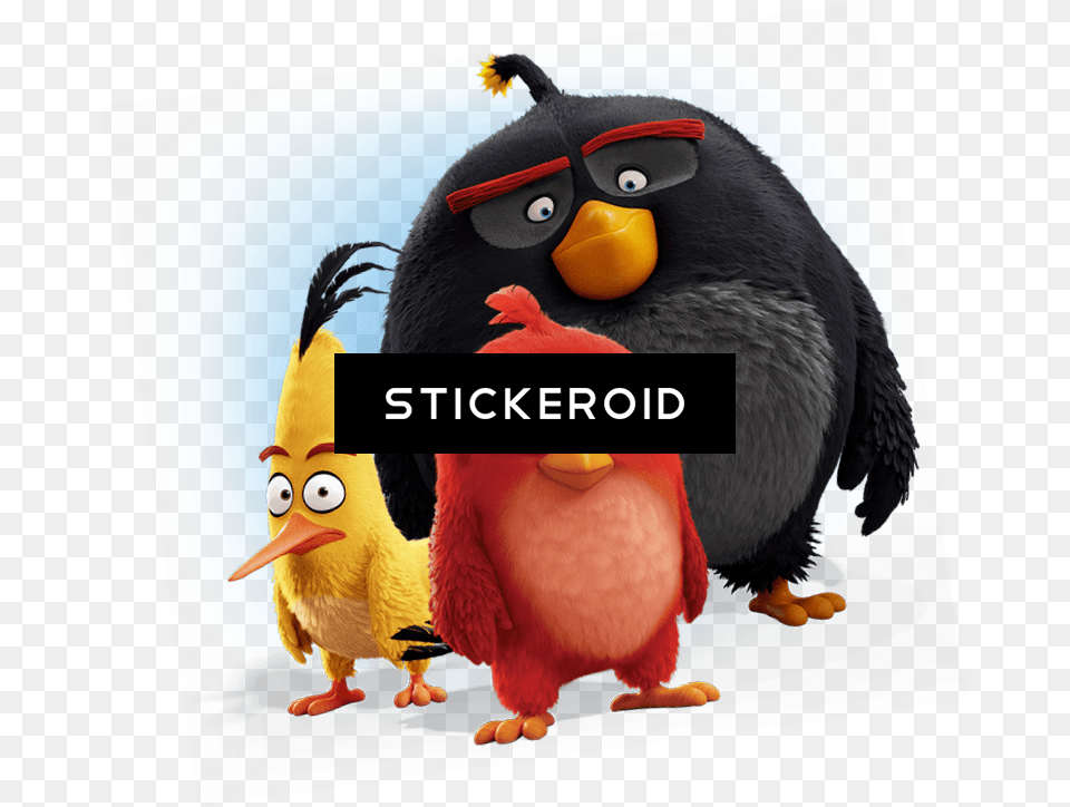 Angry Bird Download Angry Birds Wallpaper Iphone, Animal, Beak Png