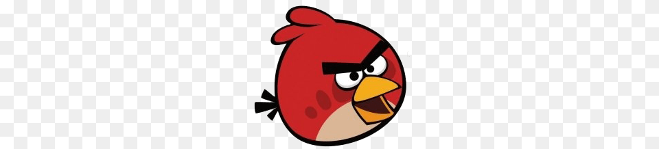 Angry Bird Red Image, Animal, Beak, Disk Free Png Download