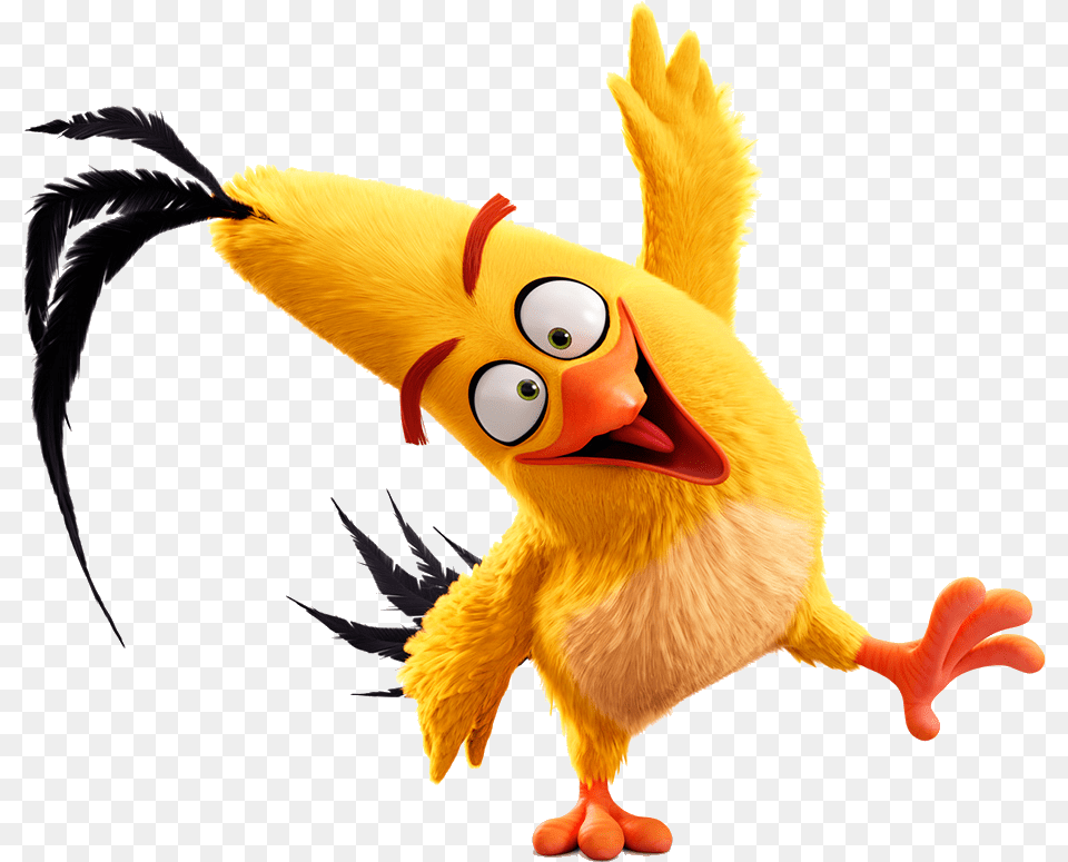 Angry Birds 2016 Chuck Personajes Los Angry Bird Personajes, Animal, Cartoon Free Png Download