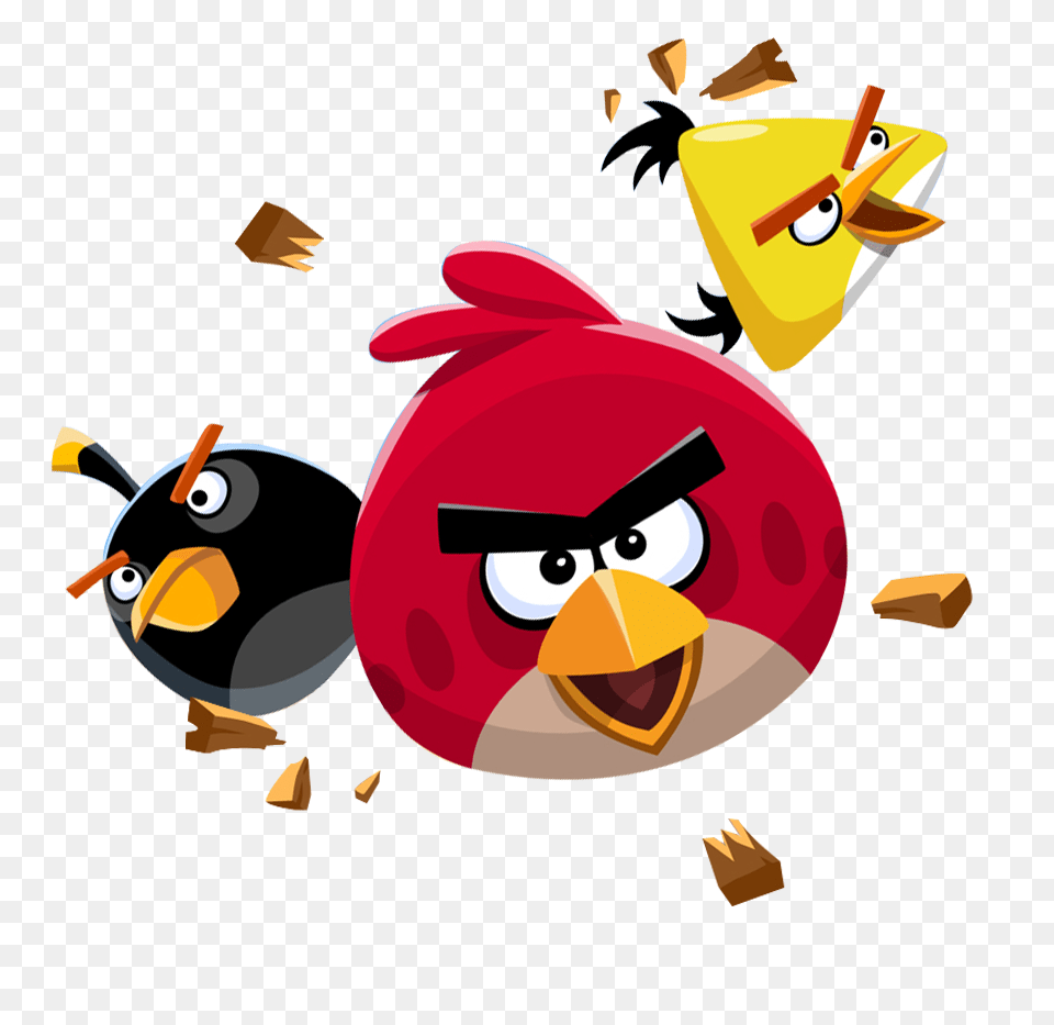 Angry Birds, Animal, Bird, Penguin, Adult Png Image