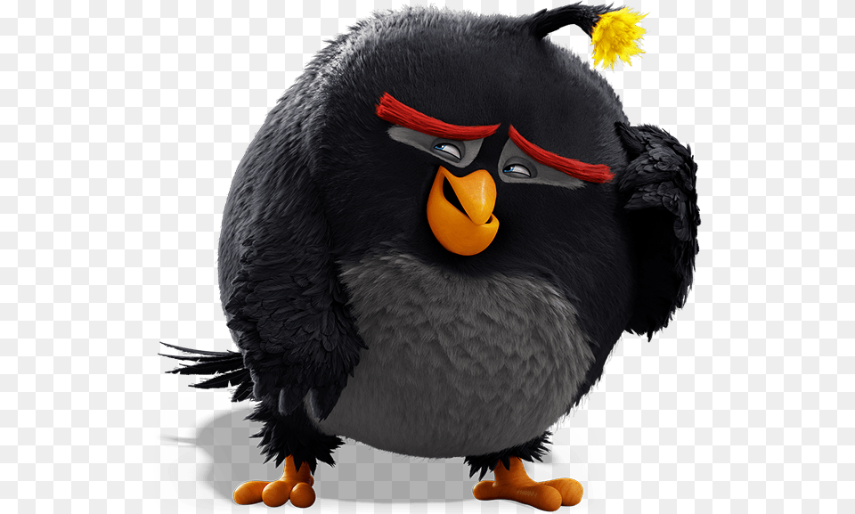 Angry Birds Bomb Character, Animal, Beak, Bird, Blackbird Free Png