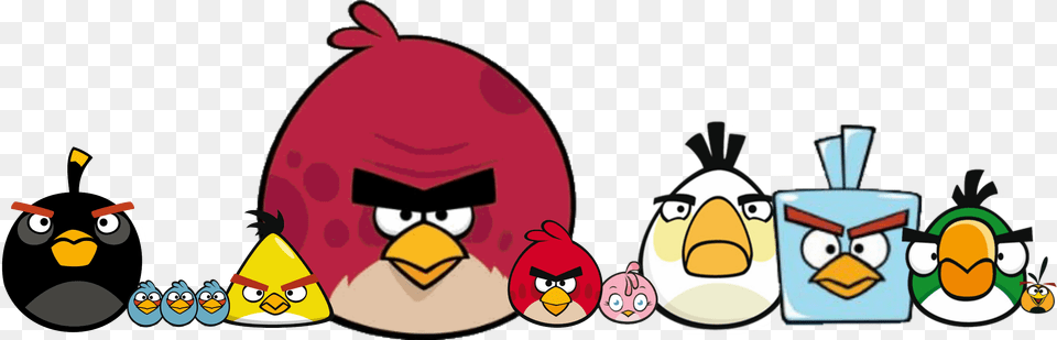 Angry Birds Bomb Classic Cartoon Bomb Angry Birds, Baby, Person, Animal, Bird Free Png