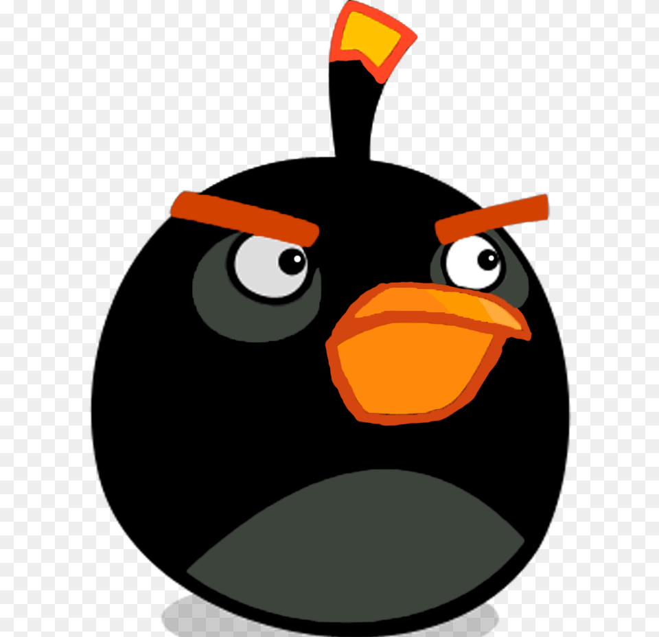 Angry Birds Game Bomb, Light, Traffic Light, Animal, Bird Free Png