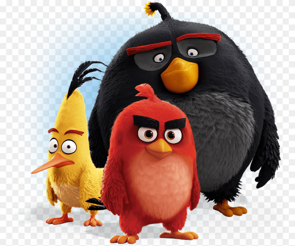 Angry Birds Bomb Chuck Angry Birds, Animal, Beak, Bird Png Image