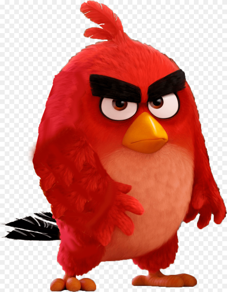 Angry Birds Images Red Hd Wallpaper And Background Red Angry Birds Movie, Animal, Beak, Bird Png Image